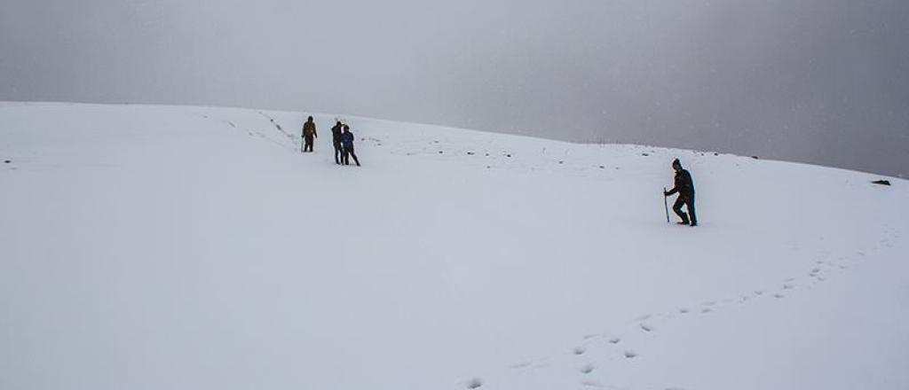 Auli snow falls