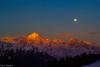 Profile picture for user HimalayaPremi